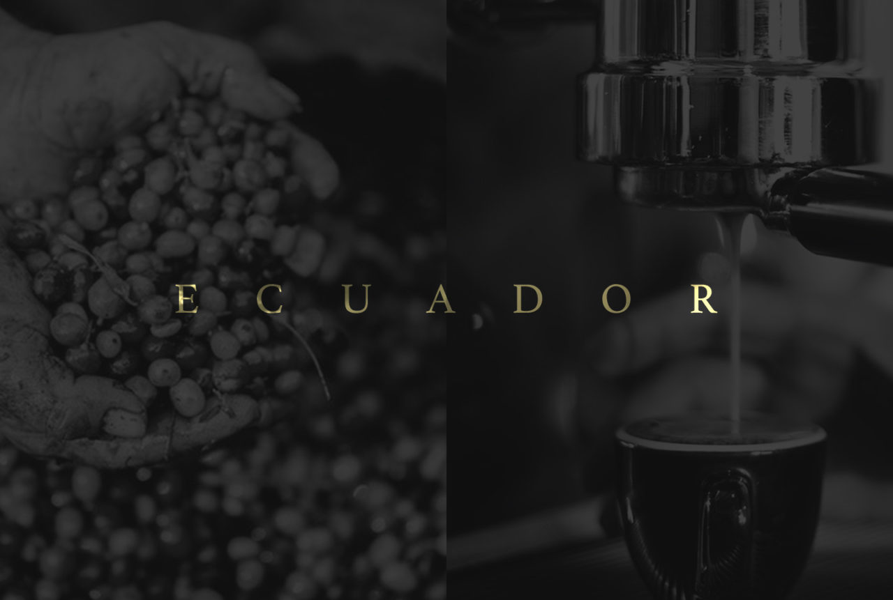 sebcatoire_1440x969_Branding_Condor_coffee&Grain